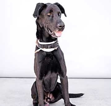 Photo of MAX