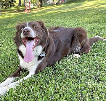 Photo of Shuman