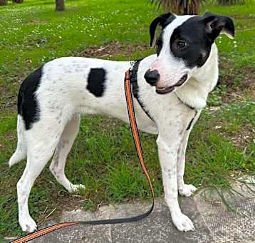 Photo of Bree