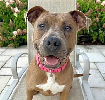 Photo of Gigi