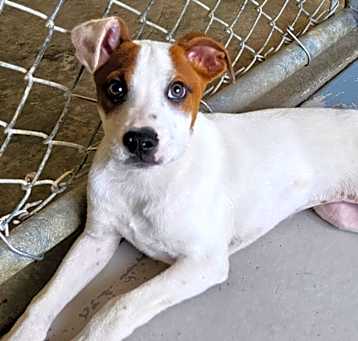 Photo of Rudy