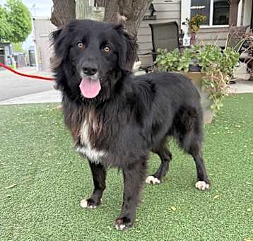 Photo of Charlie