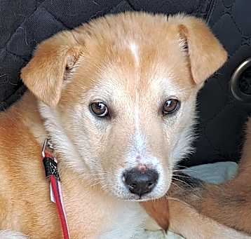 Photo of Madeleine (S. Korea) hz