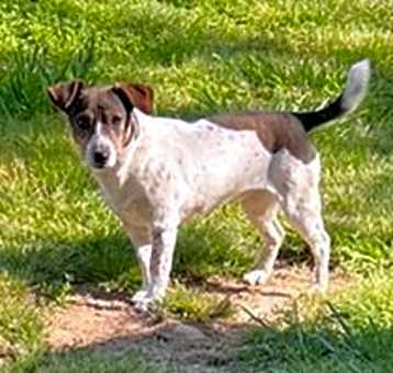 Photo of Jane Doe *
