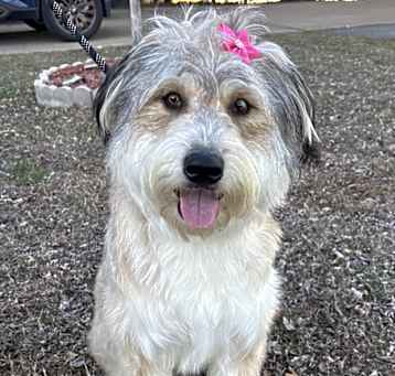 Photo of Zelda
