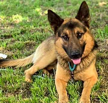 Photo of Phantom