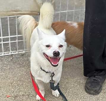 Photo of Louie