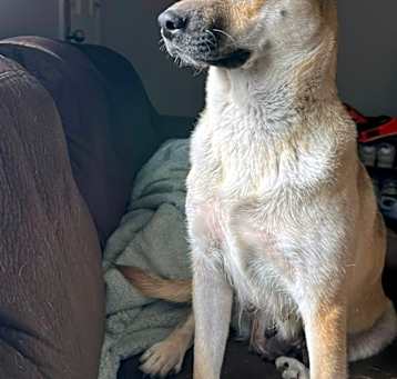 Photo of (au) Patience