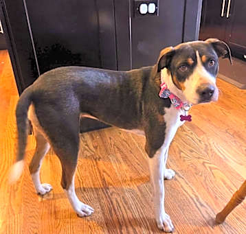 Photo of Beatrice