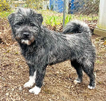 Photo of Atom