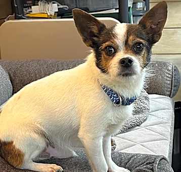Photo of Potsie