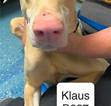Photo of Klaus B627