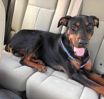 Photo of Baron #2