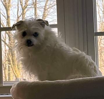 Photo of Sophie