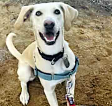 Photo of Dorothy
