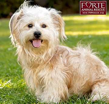 Photo of Pancho