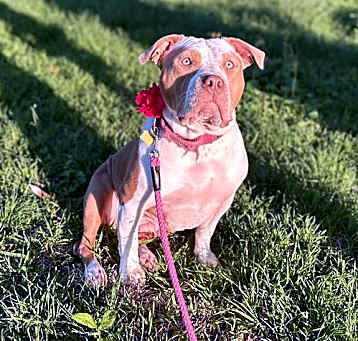 Photo of Rosie X (New Digs)