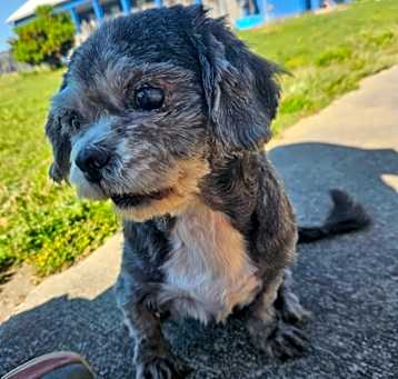Photo of Mattie