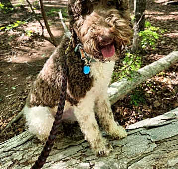 Photo of Evelyn