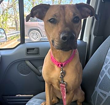 Photo of Daisy