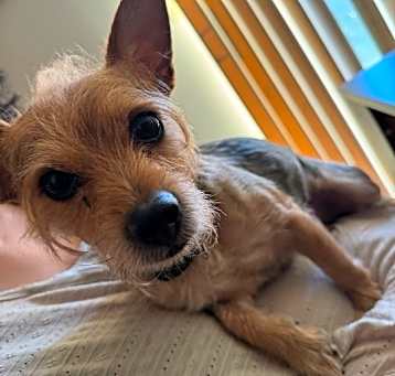 Photo of Major