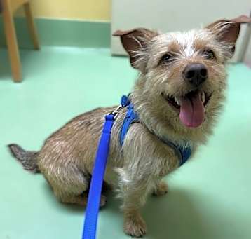 Photo of Quincy