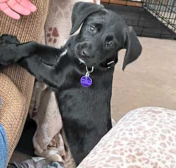 Photo of Delilah