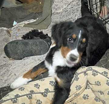 Photo of Heidi