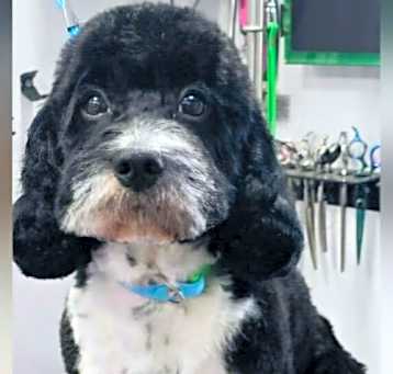 Photo of ARTIE