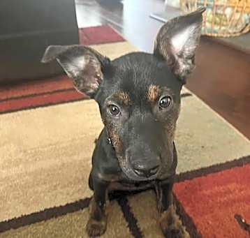 Photo of MIA