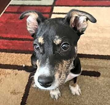 Photo of COOPER