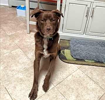 Photo of RILEY