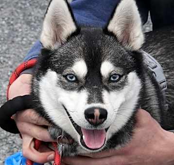 Photo of Mae