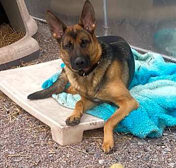 Photo of Mocha