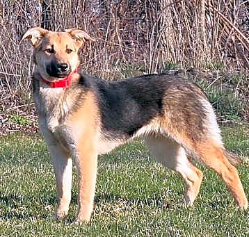 Photo of **MEG**