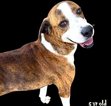Photo of Phoenix