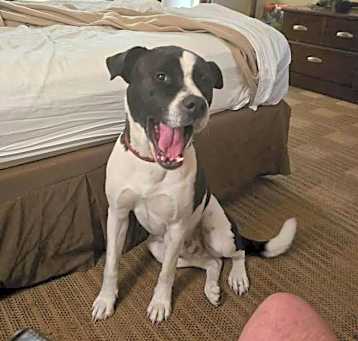 Photo of Ben