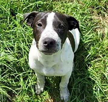 Photo of SPOT