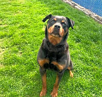 Photo of Hoss