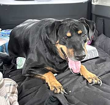 Photo of Honey