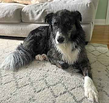 Photo of Wickett