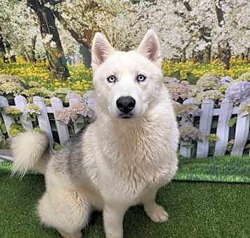 Photo of Armani