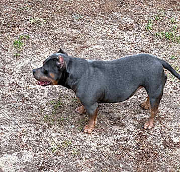 Photo of Akasha