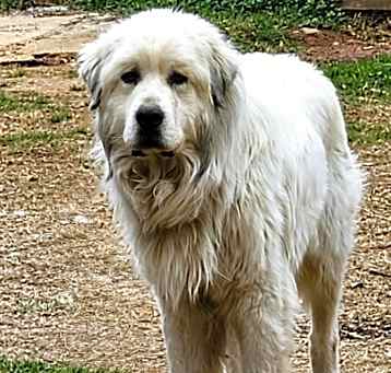Photo of Zooro