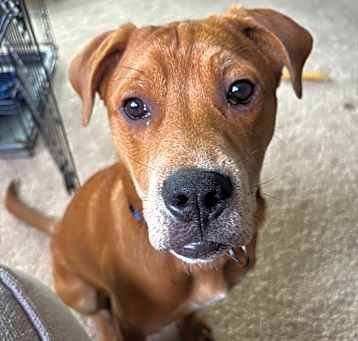 Photo of Maverick~meet me!