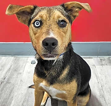 Photo of Rita ~meet me!