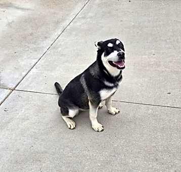Photo of Ava