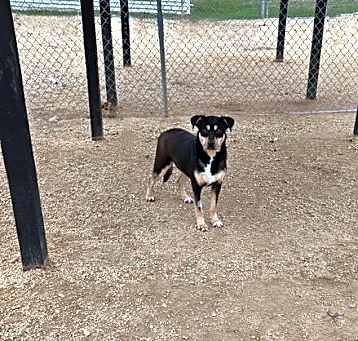 Photo of Velma