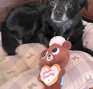 Photo of Jasmine