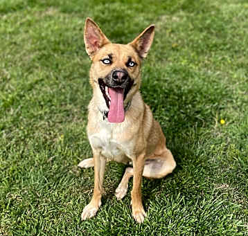 Photo of Judy